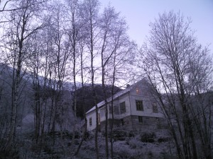 rim prestegard