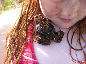 2010-08-15_0024 2010-08-15_0024